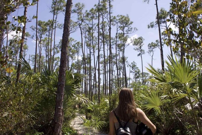 Rand Nature Center