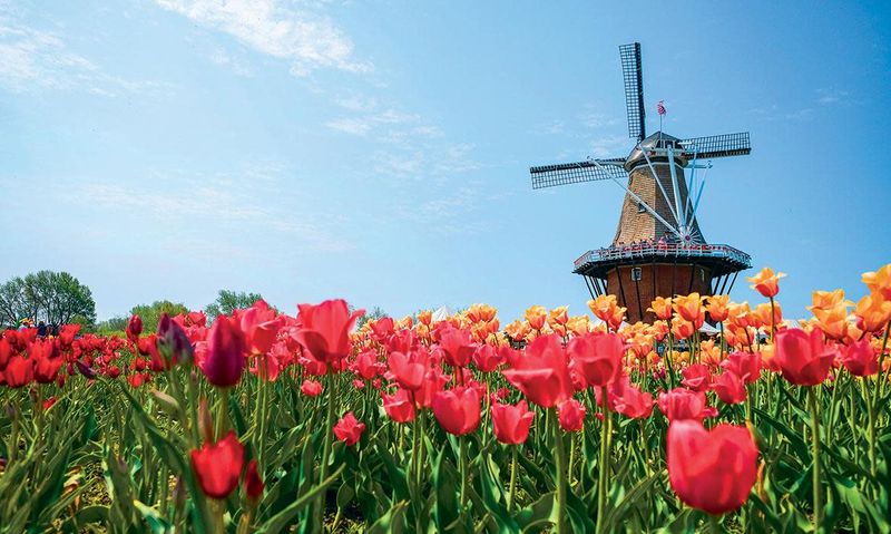 Holland