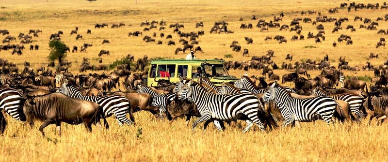 Serengeti National Park, Tanzania
