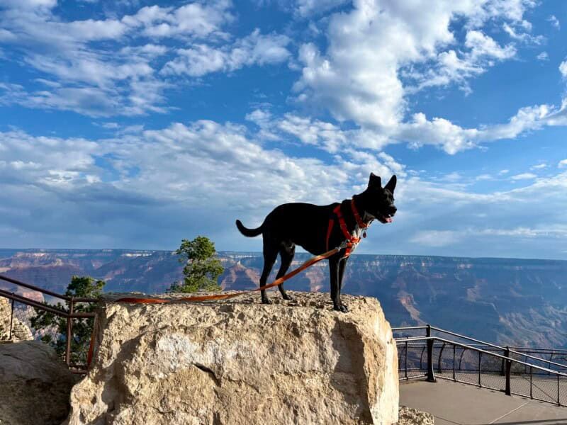 Grand Canyon National Park – South Rim (Arizona)