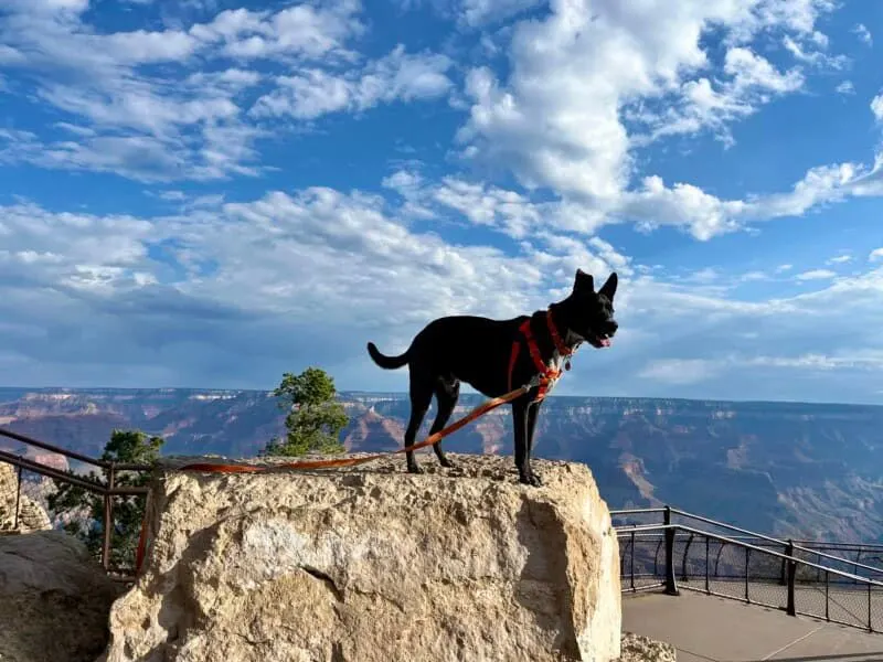 Grand Canyon National Park – South Rim (Arizona)