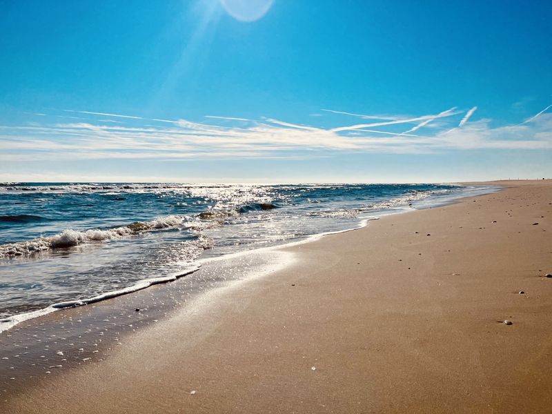 Assateague Island, Maryland/Virginia