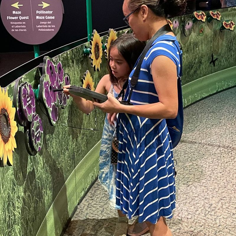 Walk the Plant Maze at Discovery Park of America