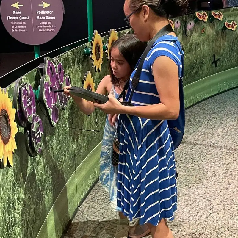 Walk the Plant Maze at Discovery Park of America