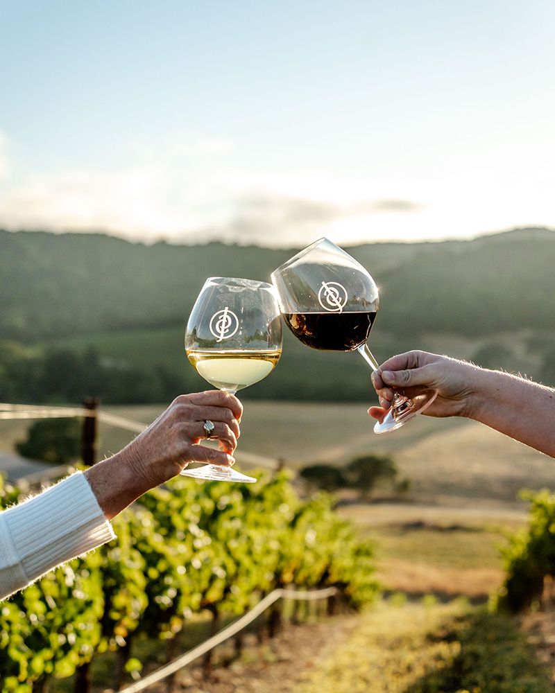 Sipping Wine or Cider at Local Tasting Rooms