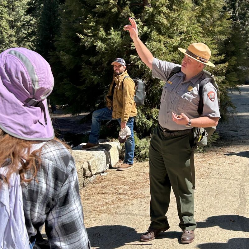 Guided Nature Programs and Ranger Talks