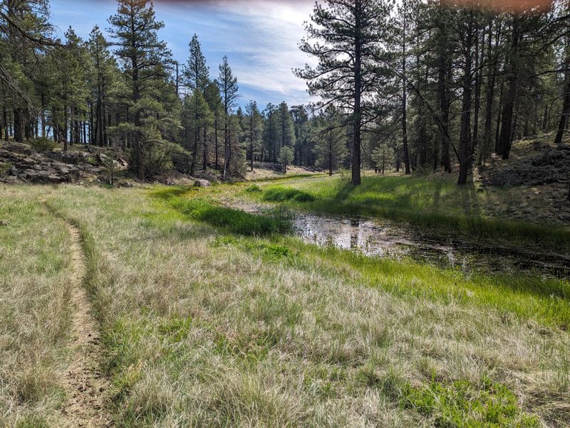 Outdoor Access – Hiking and Stargazing Nearby