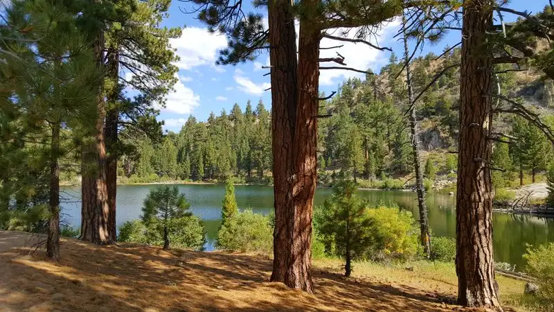 Leavitt Meadows (Sonora Pass, CA)