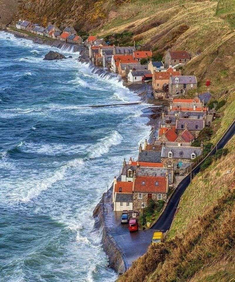 Crovie, Scotland – Tiny Yards, Wind-Tolerant Flowers