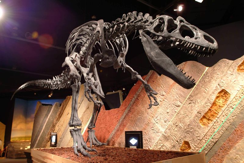 Journey Museum & Learning Center – Rapid City