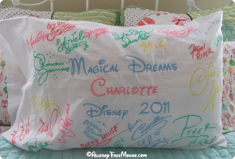 Autograph Book or Pillowcase