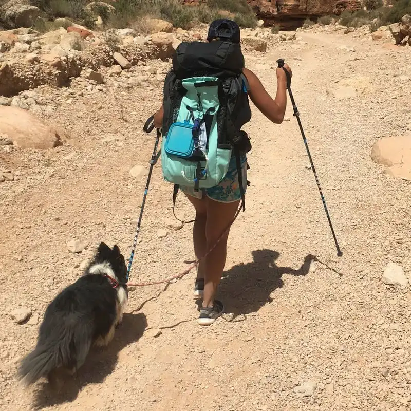 Trekking Poles (Optional but Useful)