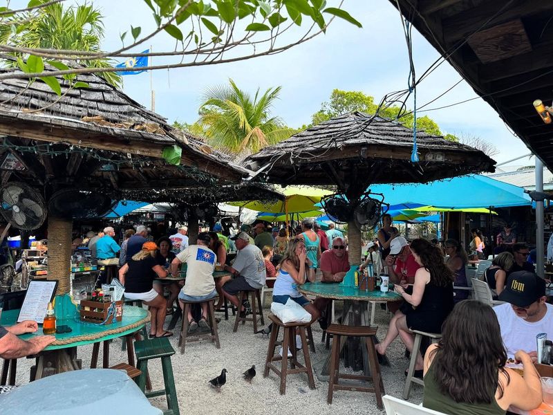 Crowded Boardwalk Spots with Trampled Grass