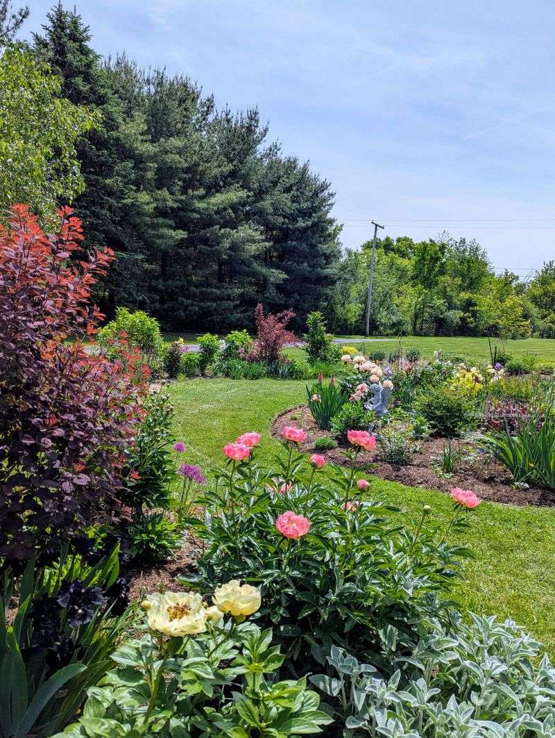 Iris Gardens – Don’t Cross Through the Beds for a Shortcut
