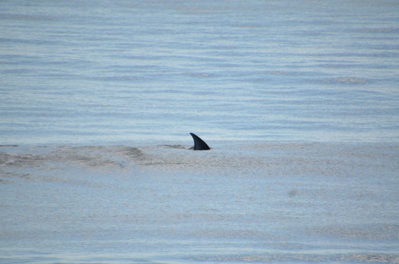 Jacksonville Beach