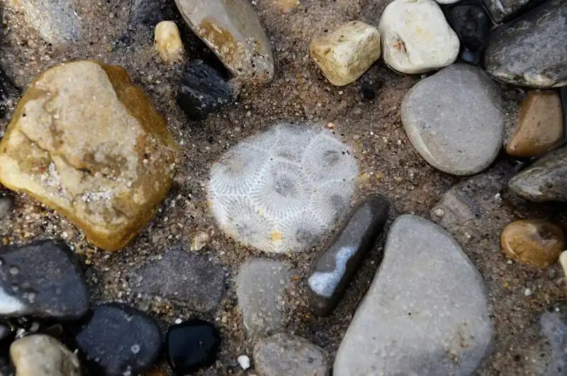 Petoskey, Michigan (Lake Michigan)