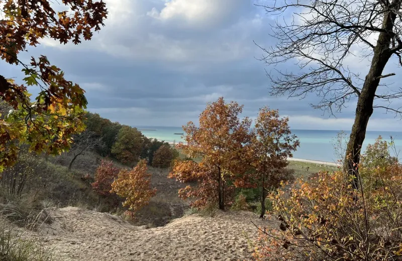 Cowles Bog Trail Beach Access