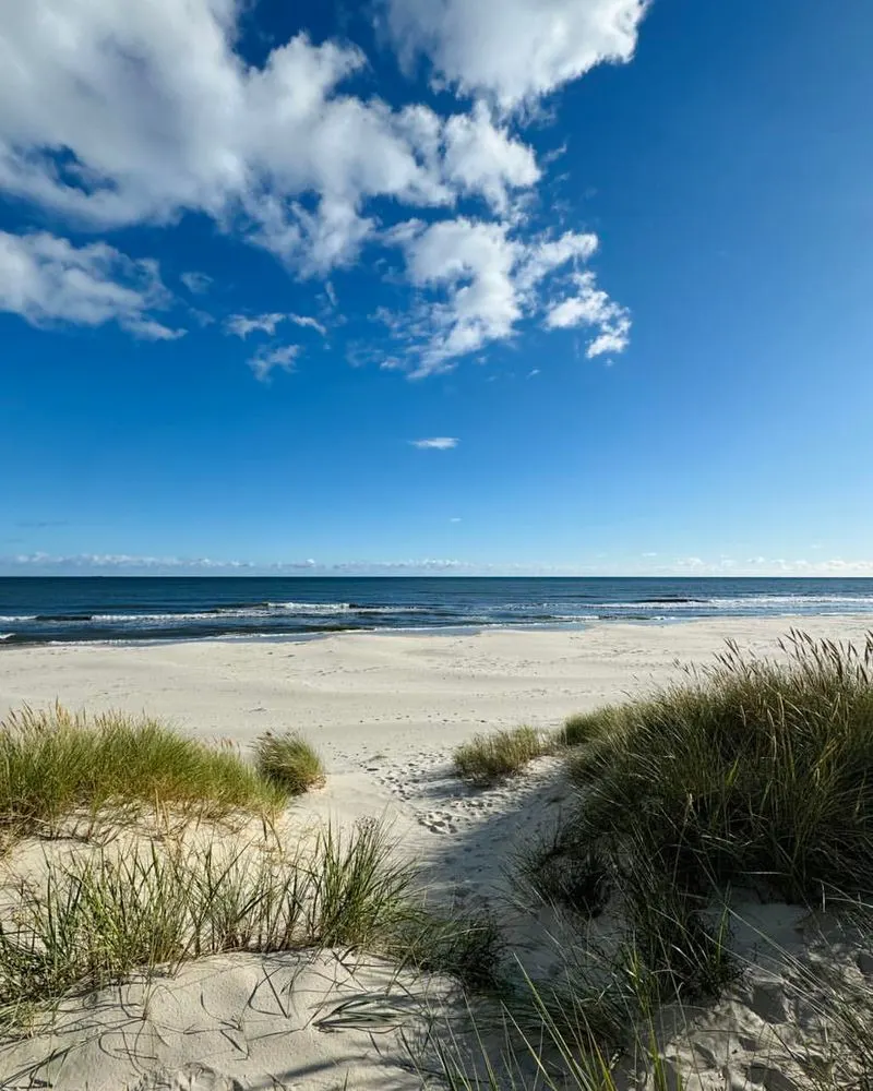Sandhammaren Beach, Sweden
