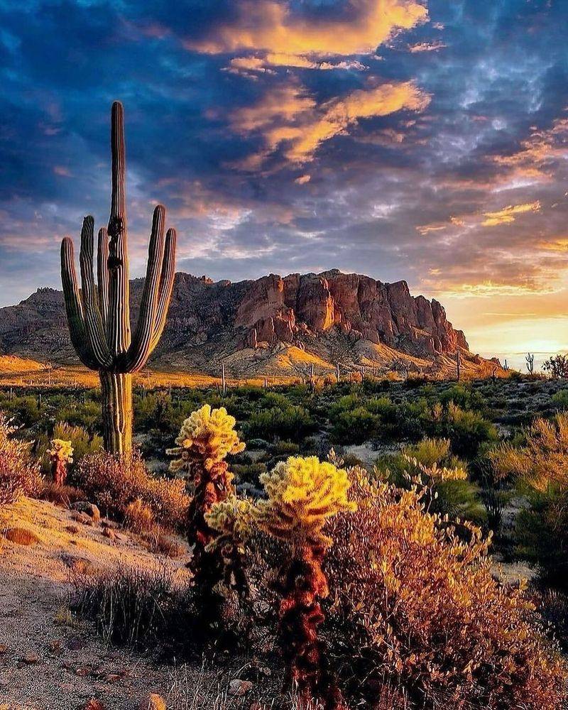 Phoenix, Arizona