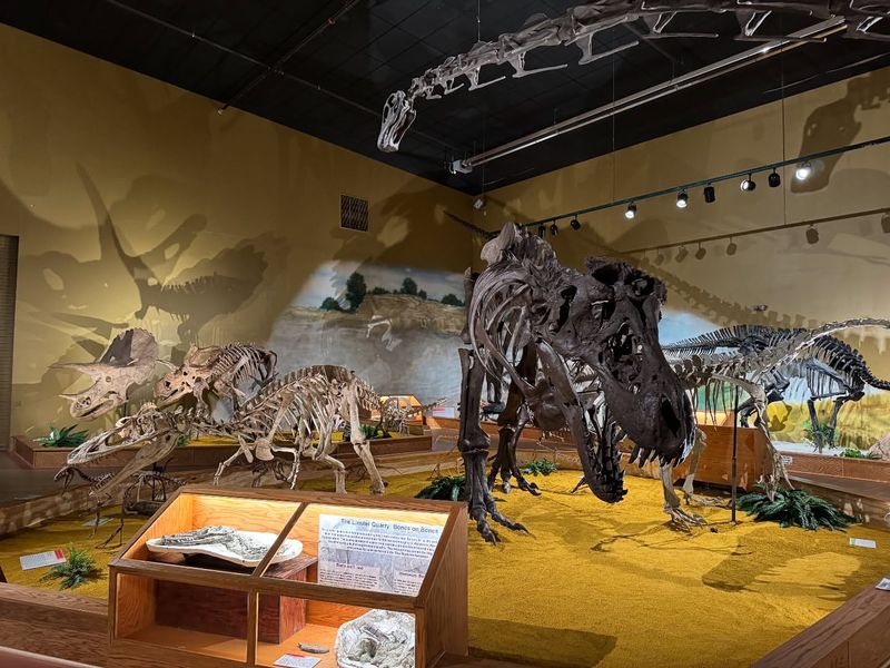 Wyoming Dinosaur Center