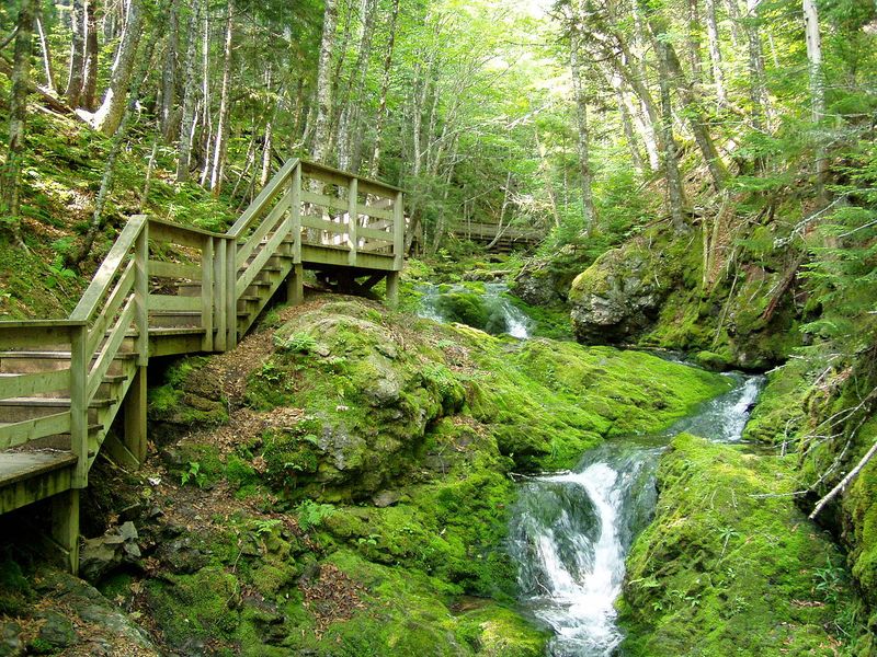 Fundy National Park