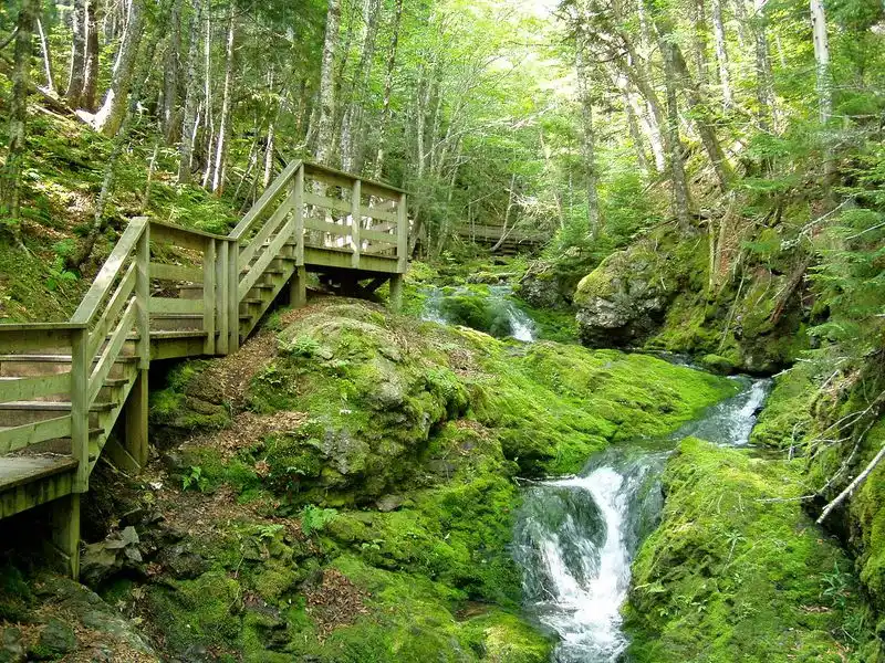 Fundy National Park