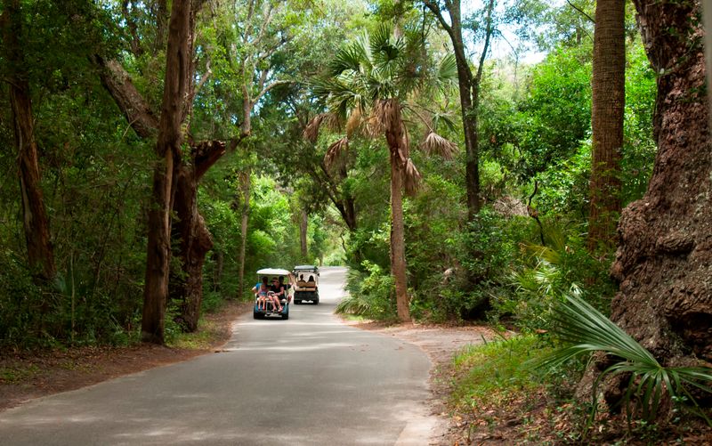 Maritime Forests