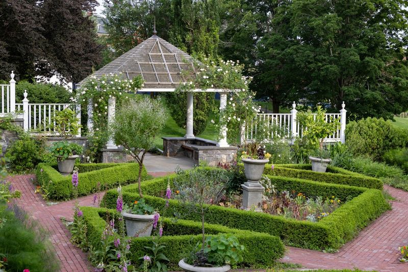 The Scranton Library’s Pollinator-Friendly Landscaping