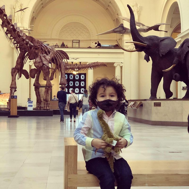 Museum Tantrum (Adult or Child? Unclear)
