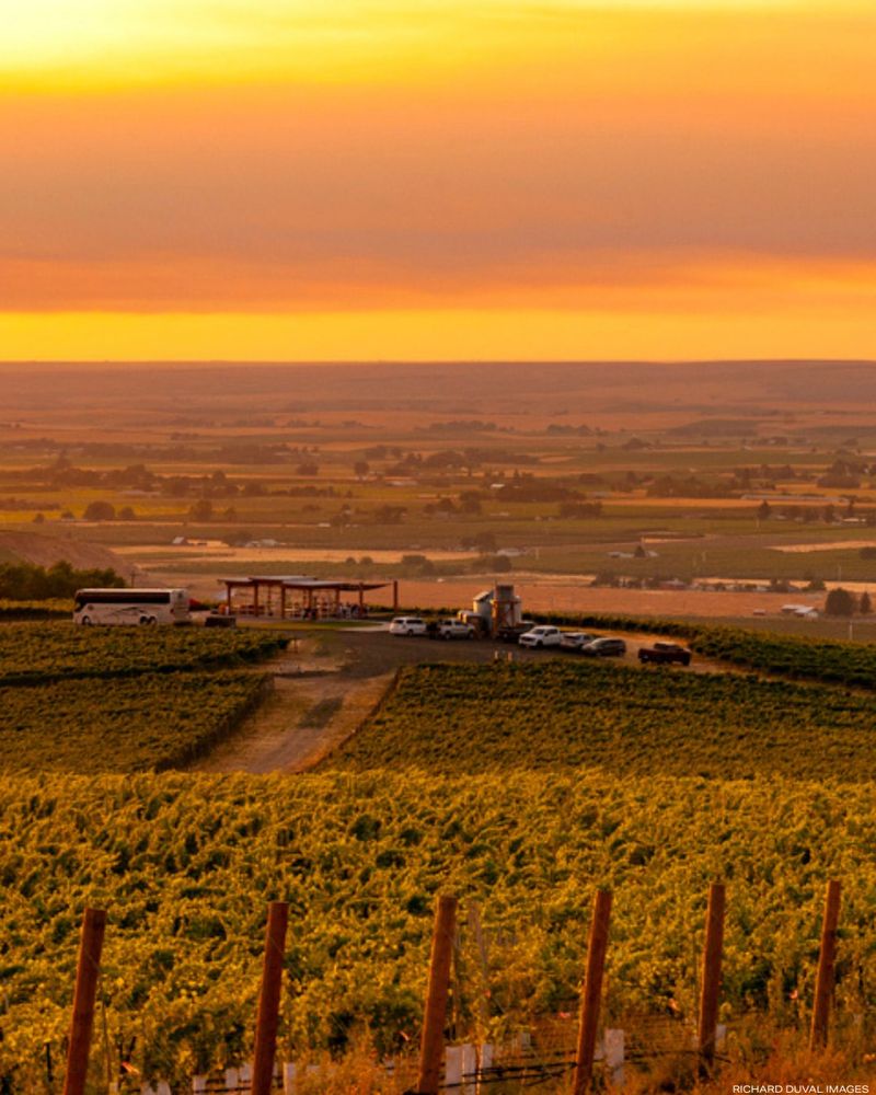 Walla Walla Wine Country