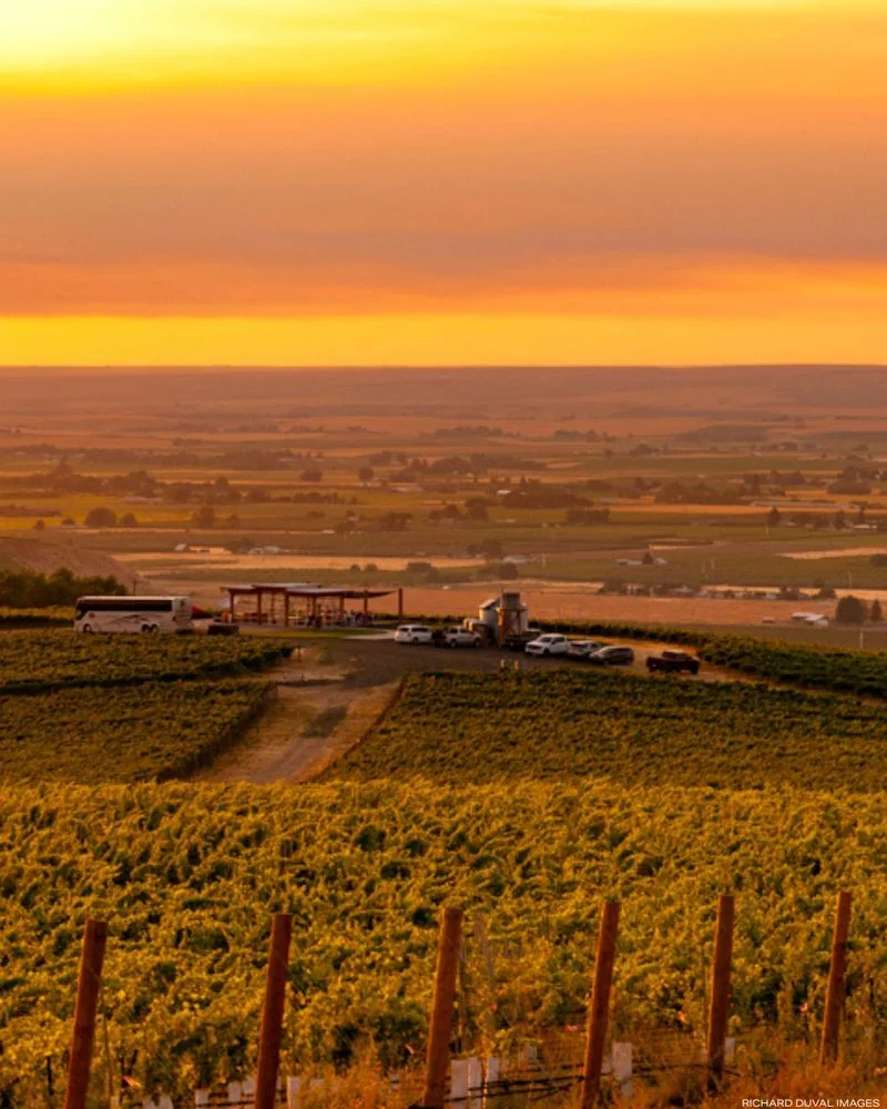 Walla Walla Wine Country