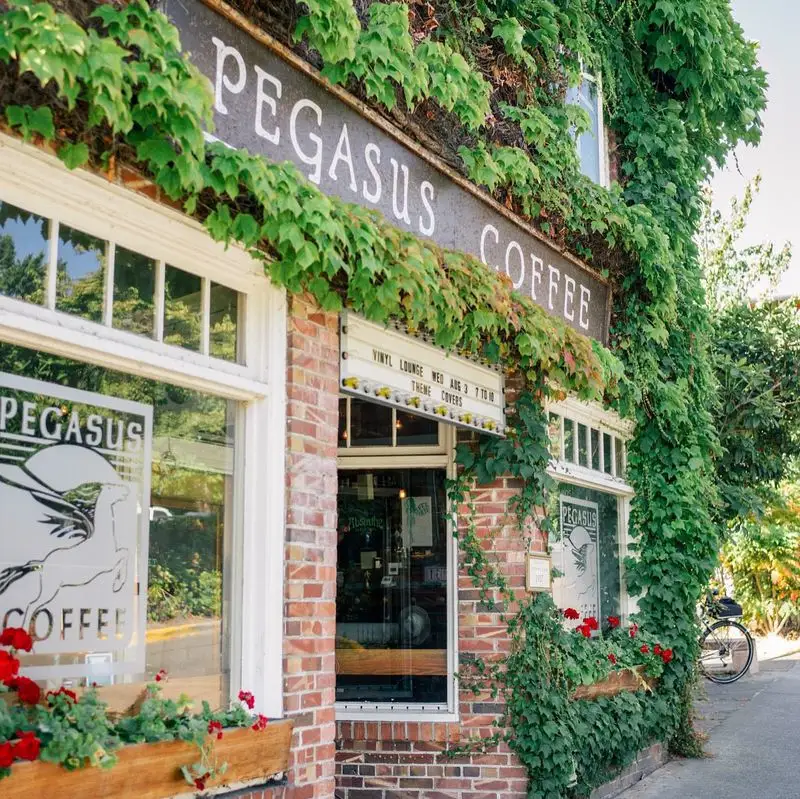 Lavender and Herbs Outside Local Cafés