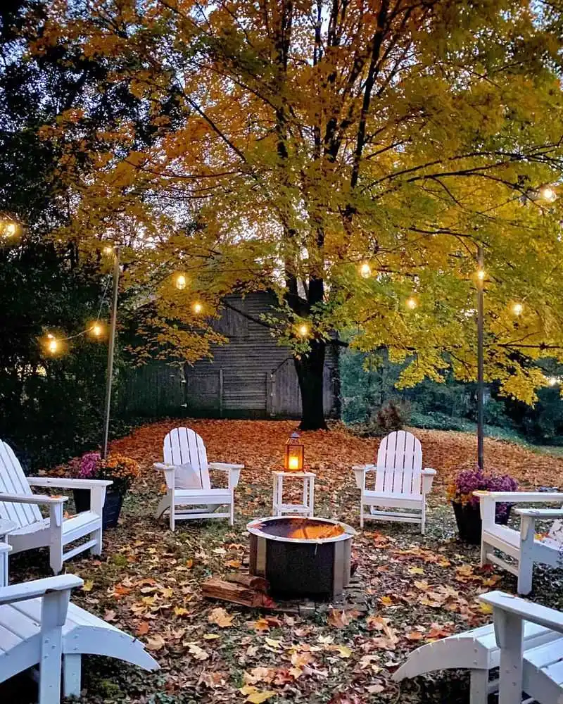 Maple Leaves and a Clean Backyard Feel
