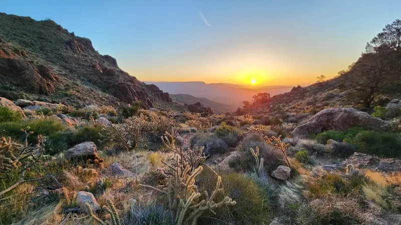 Providence Mountains State Recreation Area, California - Better