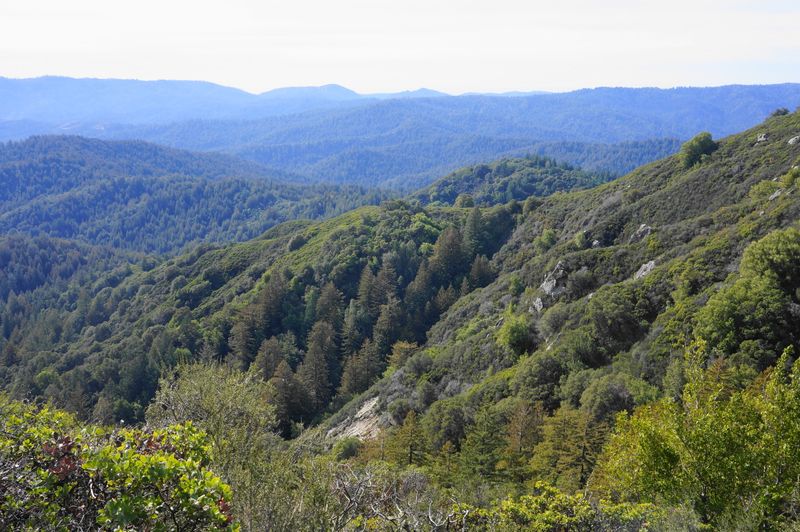 Castle Rock State Park – Saratoga Gap to Castle Rock Falls