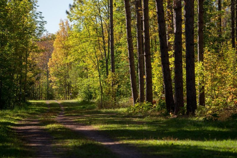 Hike the Michigan Tech Trails