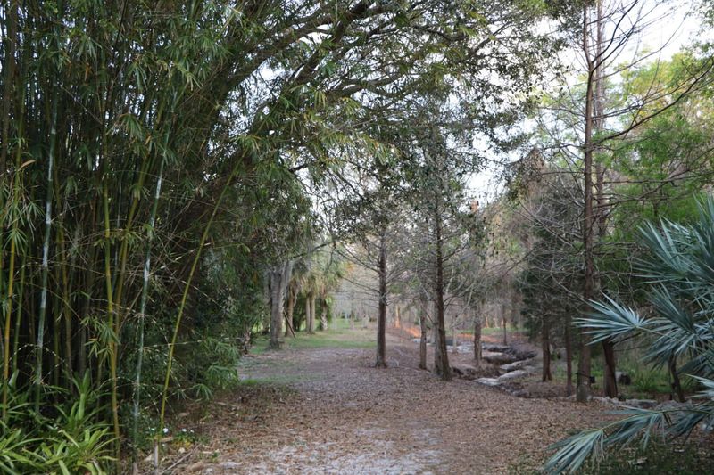 Visit UCF Arboretum’s Food Forest