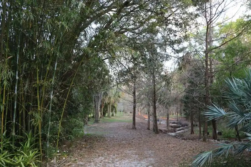 Visit UCF Arboretum’s Food Forest
