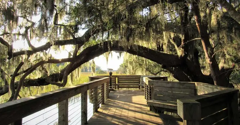 Visit the Coastal Discovery Museum