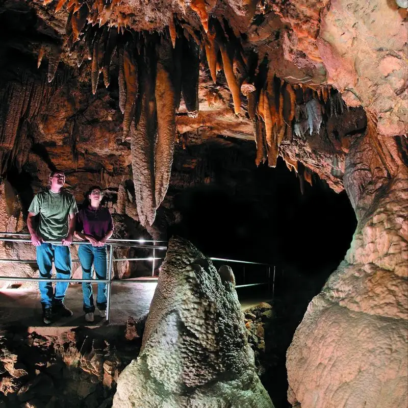 Tour the Lake Shasta Caverns
