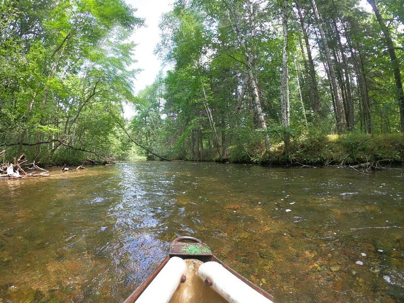 Visit Ding’s Dock and Float the Crystal River