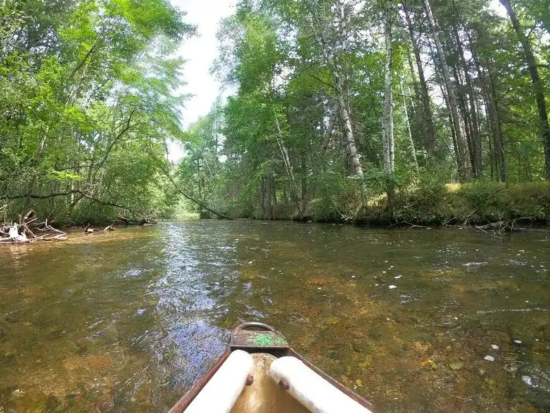 Visit Ding’s Dock and Float the Crystal River