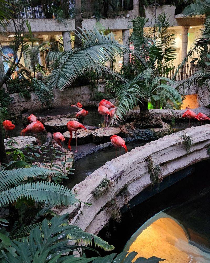 Gardens that Support Conservation Education