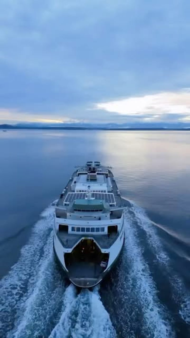 Understand the Ferry Culture