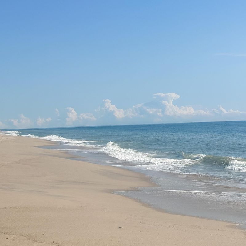 South Beach – Martha’s Vineyard’s Atlantic Edge