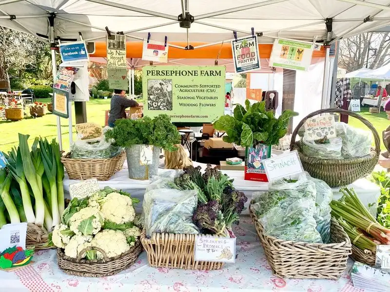 Native Grasses and Bee-Friendly Plants at the Farmer’s Market