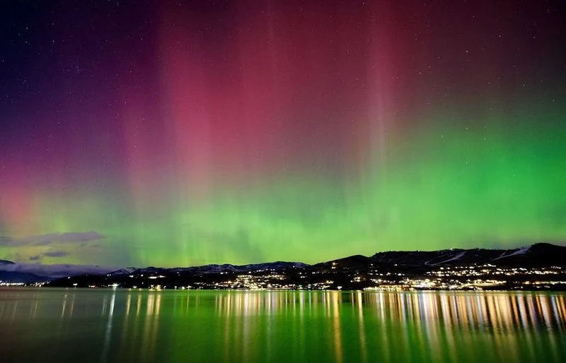Spectacular Starry Nights