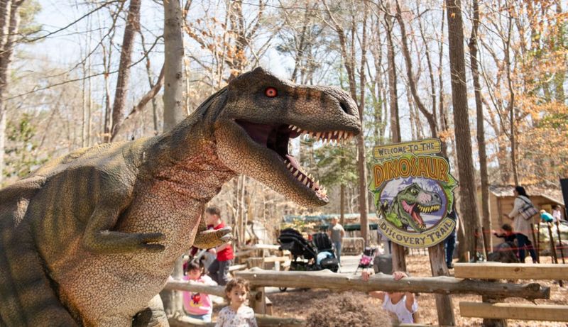 Get Wild at the Virginia Living Museum
