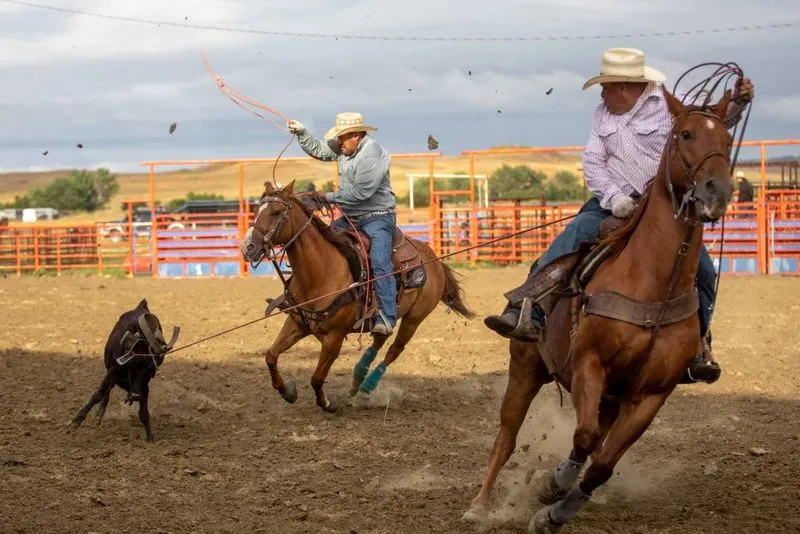 Attend a Rodeo or County Fair