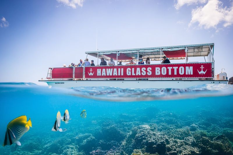 Go on a Glass-Bottom Boat Tour